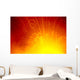 Red/Orange Lava Entering Ocean Exploding In Air C1636 Wall Mural