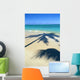 Palm Shadows On White Sand Beach, Turquoise Water C1713 Wall Mural