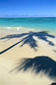 Palm Shadows On White Sand Beach, Turquoise Water C1713 Wall Mural