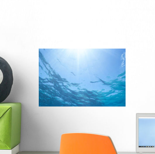 Sunrays Shine Through Surface Of Calm Water C1698 Wall Mural