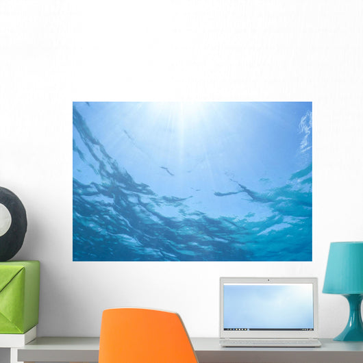 Sunrays Shine Through Surface Of Calm Water C1698 Wall Mural