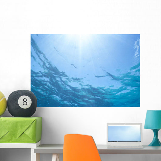Sunrays Shine Through Surface Of Calm Water C1698 Wall Mural