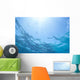 Sunrays Shine Through Surface Of Calm Water C1698 Wall Mural
