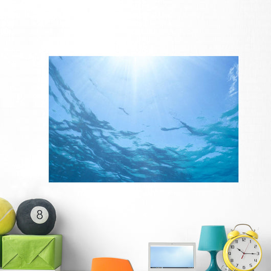 Sunrays Shine Through Surface Of Calm Water C1698 Wall Mural