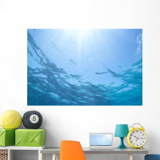 Sunrays Shine Through Surface Of Calm Water C1698 Wall Mural