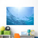 Sunrays Shine Through Surface Of Calm Water C1698 Wall Mural