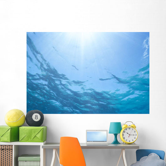 Sunrays Shine Through Surface Of Calm Water C1698 Wall Mural