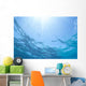 Sunrays Shine Through Surface Of Calm Water C1698 Wall Mural