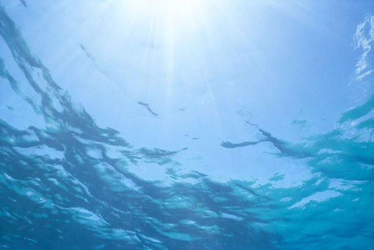 Sunrays Shine Through Surface Of Calm Water C1698 Wall Mural