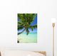 Beautiful View Of Clear Water, Palm Tree, Deep Blue Sky Wall Mural