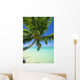 Beautiful View Of Clear Water, Palm Tree, Deep Blue Sky Wall Mural