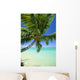 Beautiful View Of Clear Water, Palm Tree, Deep Blue Sky Wall Mural