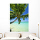 Beautiful View Of Clear Water, Palm Tree, Deep Blue Sky Wall Mural