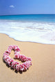 Pink Lei In Sand, Gentle Shore Waters, White Foam, Blue Ocean C1735 Wall Mural