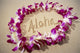 Close-Up Detail Of Purple Orchid Lei On Beach Aloha Written Wall Mural