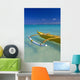 Molokai Visible Background D1604 Wall Mural