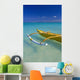 Molokai Visible Background D1604 Wall Mural