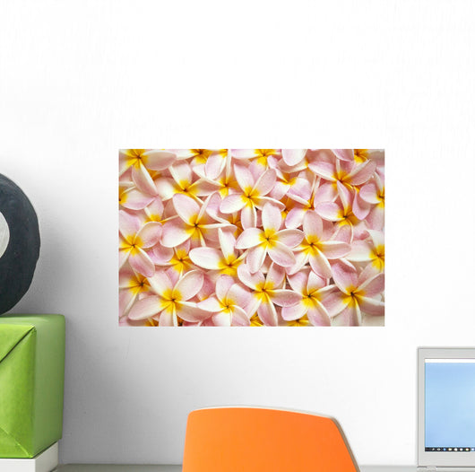 Close-Up Of A Bed Of Light Pink Plumeria Flowers Wall Mural