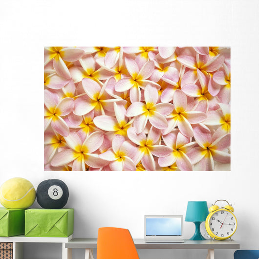 Close-Up Of A Bed Of Light Pink Plumeria Flowers Wall Mural