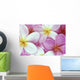 Close-Up Of Pink Plumeria Flowers, Water Droplets Wall Mural