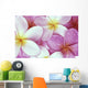 Close-Up Of Pink Plumeria Flowers, Water Droplets Wall Mural