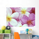 Close-Up Of Pink Plumeria Flowers, Water Droplets Wall Mural