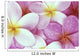Close-Up Of Pink Plumeria Flowers, Water Droplets Wall Mural