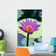 Single Water Lily Blossom Wall Mural