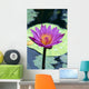 Single Water Lily Blossom Wall Mural