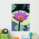Single Water Lily Blossom Wall Mural