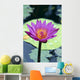 Single Water Lily Blossom Wall Mural