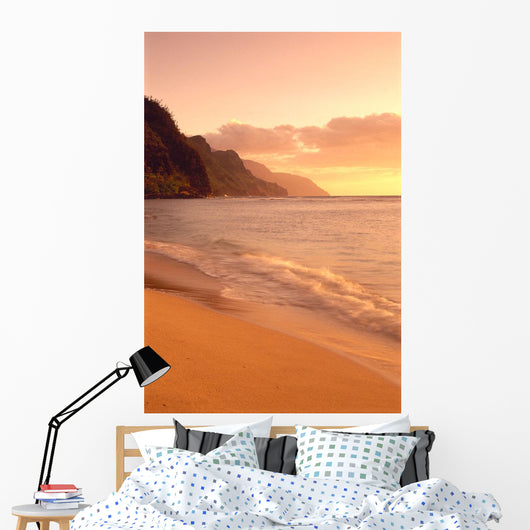Golden Skies And Sand C1533 Wall Mural
