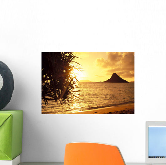 Golden Light Shimmering On Ocean C1559 Wall Mural
