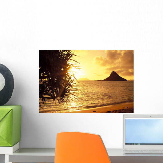 Golden Light Shimmering On Ocean C1559 Wall Mural