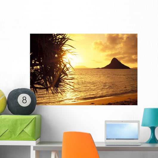 Golden Light Shimmering On Ocean C1559 Wall Mural