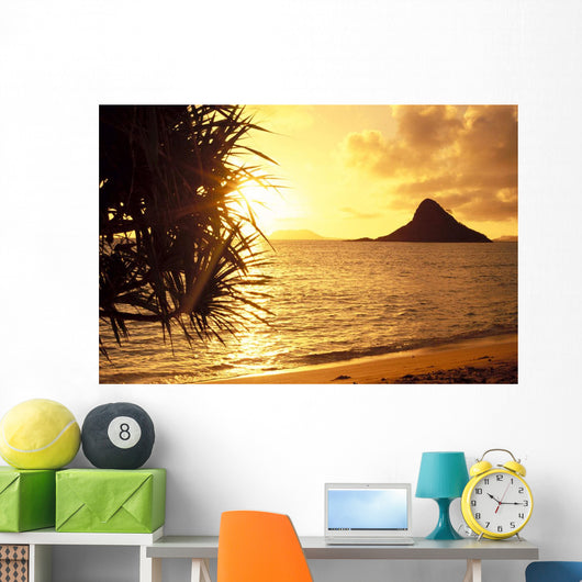 Golden Light Shimmering On Ocean C1559 Wall Mural