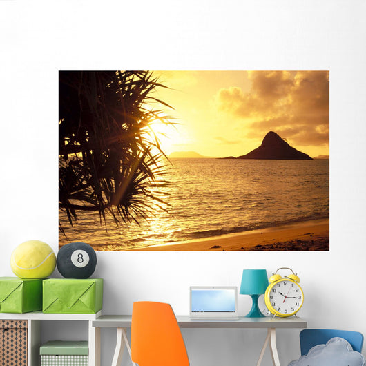 Golden Light Shimmering On Ocean C1559 Wall Mural