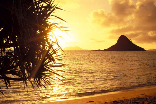 Golden Light Shimmering On Ocean C1559 Wall Mural