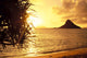 Golden Light Shimmering On Ocean C1559 Wall Mural