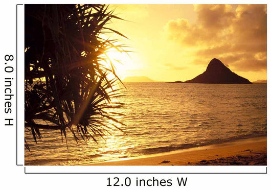 Golden Light Shimmering On Ocean C1559 Wall Mural