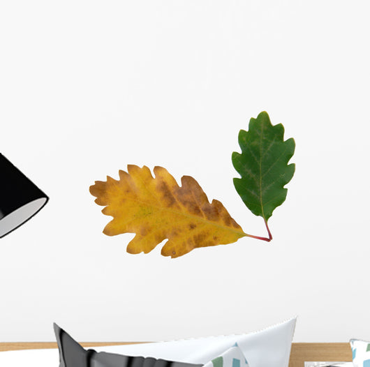 chêne Wall Decal