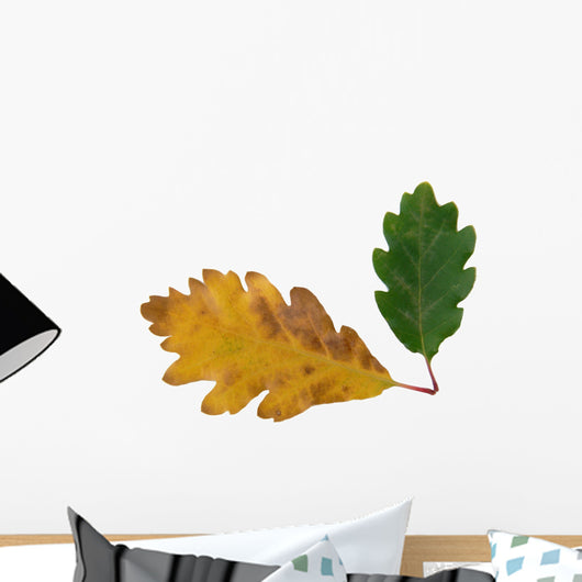 chêne Wall Decal