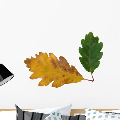 Chene Wall Decal shown on a wall