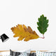 chêne Wall Decal