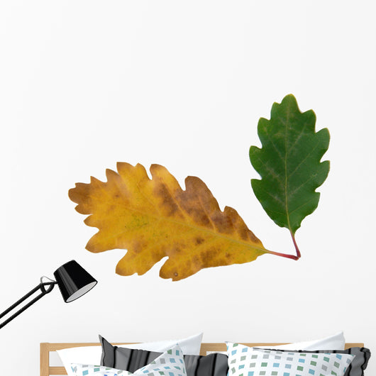 chêne Wall Decal