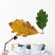 chêne Wall Decal