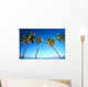 Hawaii, Maui, Lahaina, Coconut Palm Trees Along Ocean, Blue Sky C1681 Wall Mural