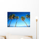 Hawaii, Maui, Lahaina, Coconut Palm Trees Along Ocean, Blue Sky C1681 Wall Mural
