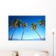 Hawaii, Maui, Lahaina, Coconut Palm Trees Along Ocean, Blue Sky C1681 Wall Mural