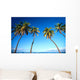 Hawaii, Maui, Lahaina, Coconut Palm Trees Along Ocean, Blue Sky C1681 Wall Mural